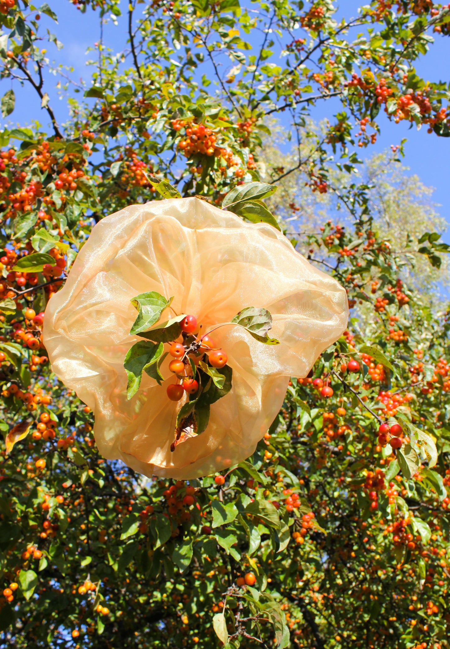 Buttercream XXL scrunchie - Golden Orange