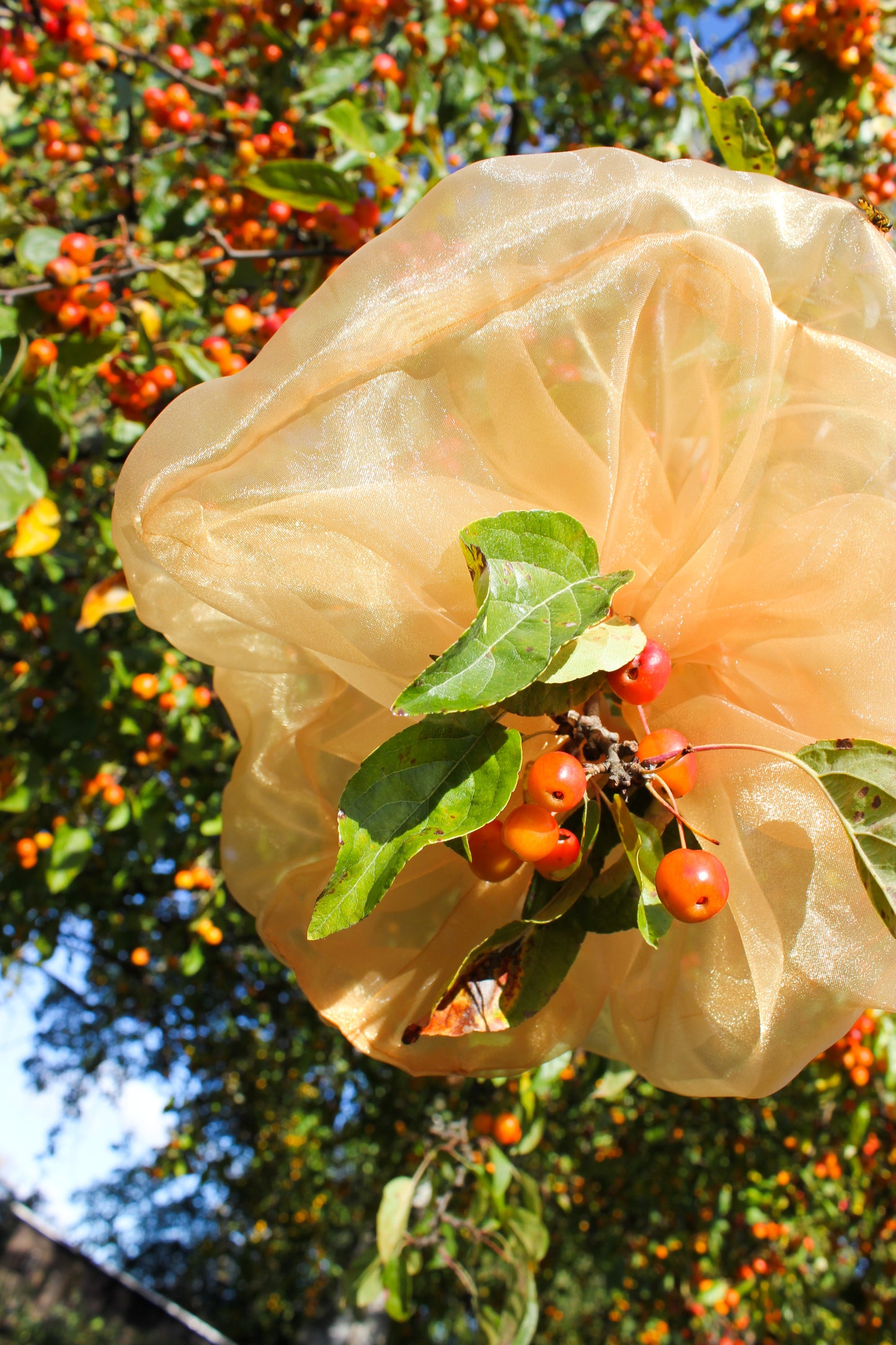 Buttercream XXL scrunchie - Golden Orange