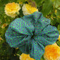 Meringue Scrunchie - Tiny Flower Field Green